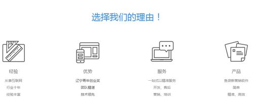 魚袋營(yíng)銷軟件產(chǎn)品與店鋪裝修圖片展示 助力電商銷售新高度
